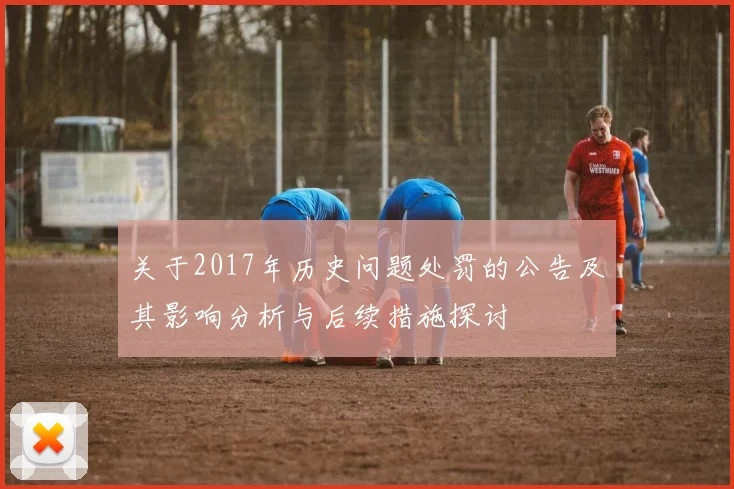 关于2017年历史问题处罚的公告及其影响分析与后续措施探讨