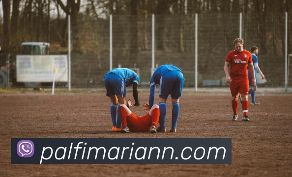 奖项2