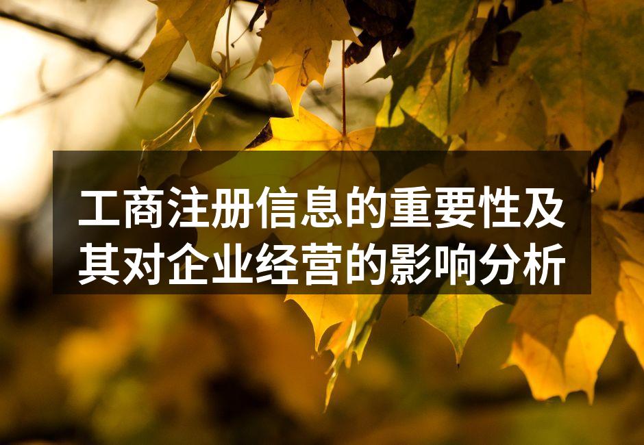 工商注册信息的重要性及其对企业经营的影响分析