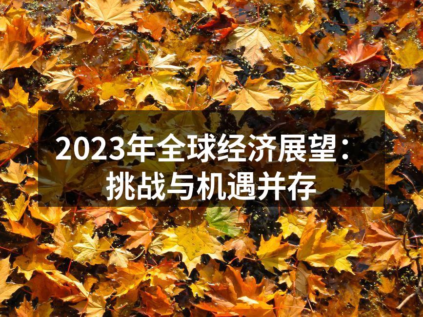 2023年全球经济展望：挑战与机遇并存