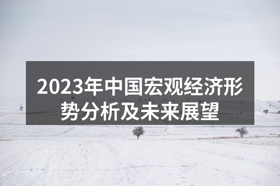 2023年中国宏观经济形势分析及未来展望