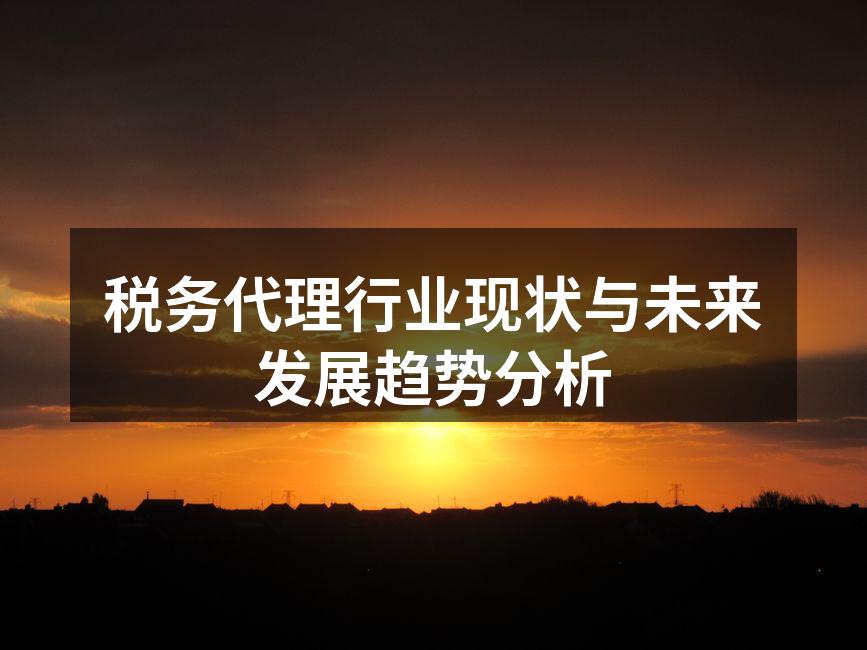 税务代理行业现状与未来发展趋势分析