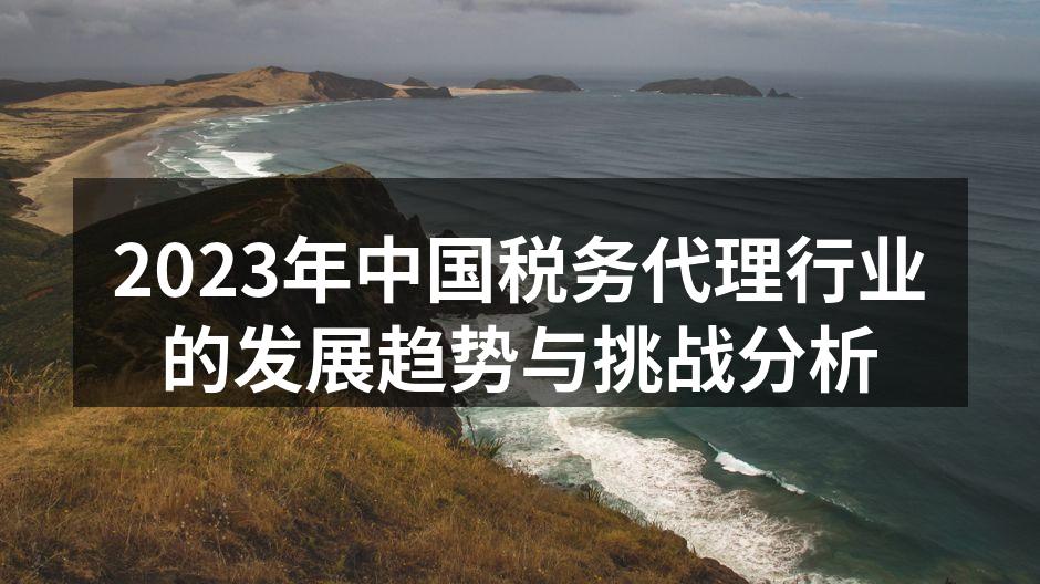 2023年中国税务代理行业的发展趋势与挑战分析