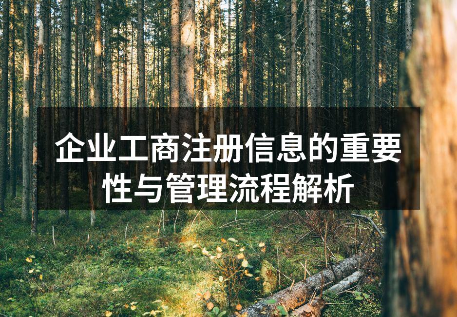 企业工商注册信息的重要性与管理流程解析