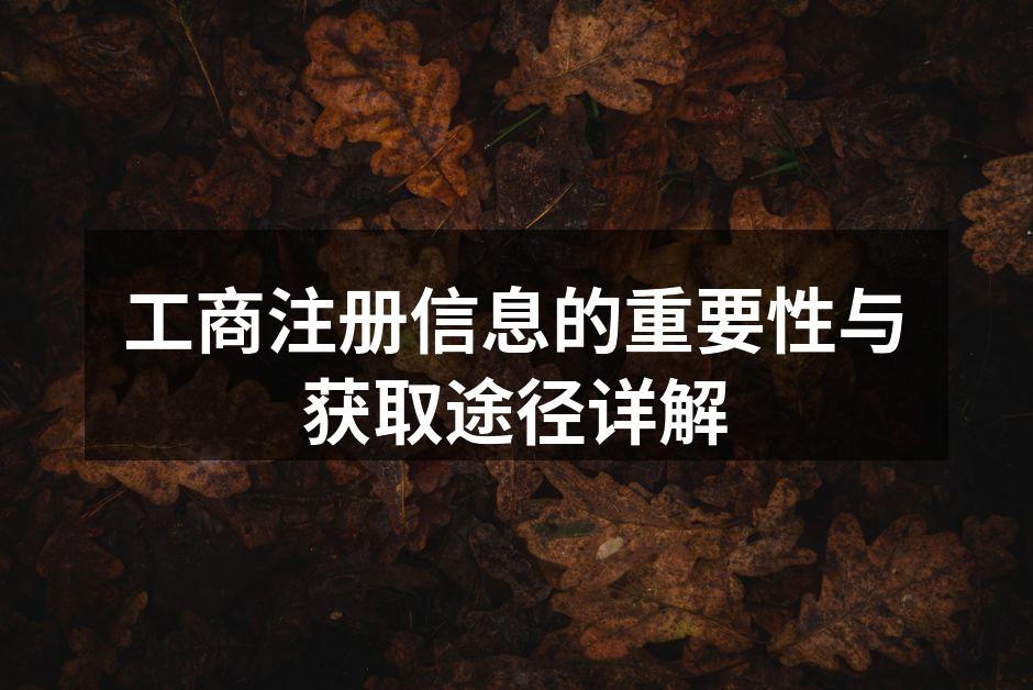 工商注册信息的重要性与获取途径详解