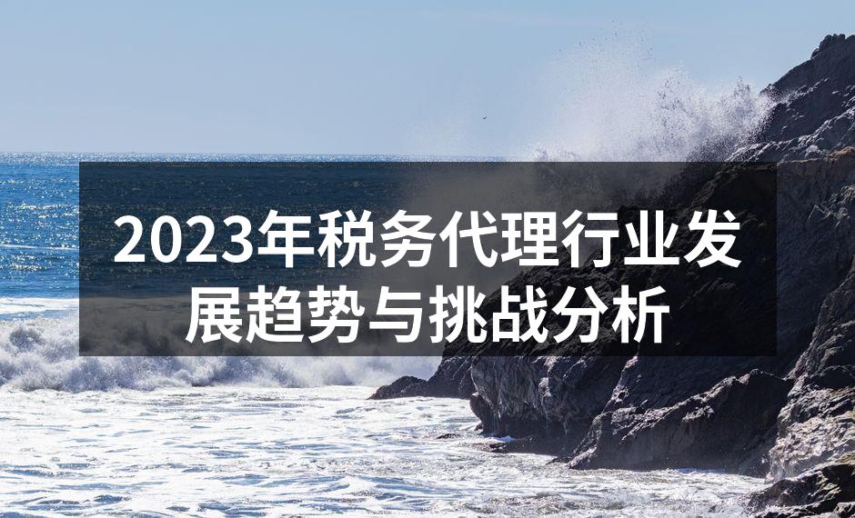 2023年税务代理行业发展趋势与挑战分析