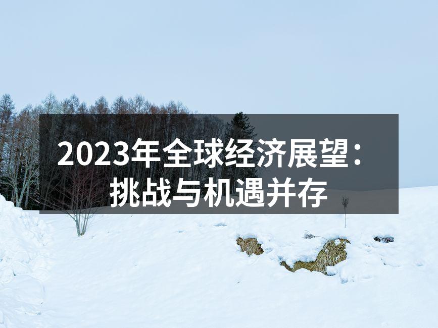 2023年全球经济展望：挑战与机遇并存