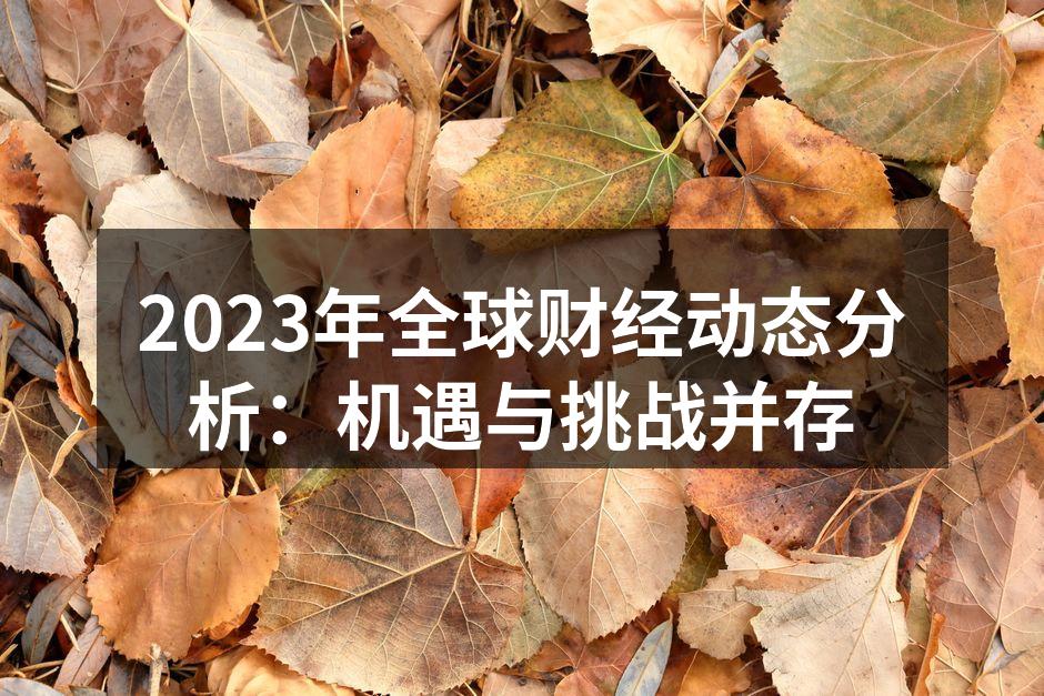 2023年全球财经动态分析：机遇与挑战并存